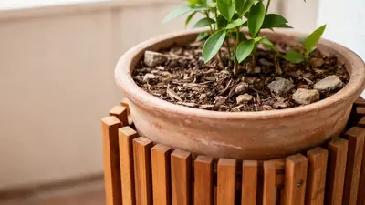 Vaso de cerâmica elevado sobre suporte de madeira ripada, com solo visível e folhas verdes suaves em ambiente externo coberto