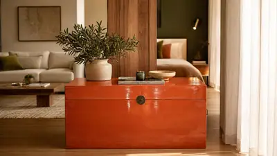 Um baú norteador cor terracota em um apartamento multifuncional, separando visualmente a sala de estar do quarto em um ambiente luminoso e acolhedor.